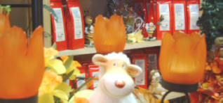 Sch-Insel02.pg.jpg (12597 Byte)